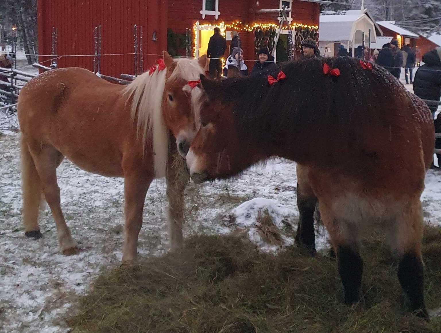 Sveriges 10 Bästa Julmarknader 2024 - World Traveler