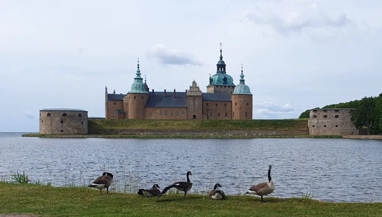 Kalmar slott med fåglar